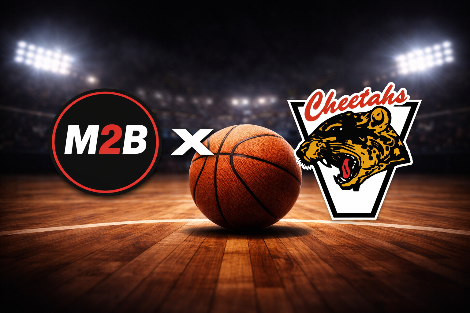 M2B Sports x Cheetahs basketball thumbnail