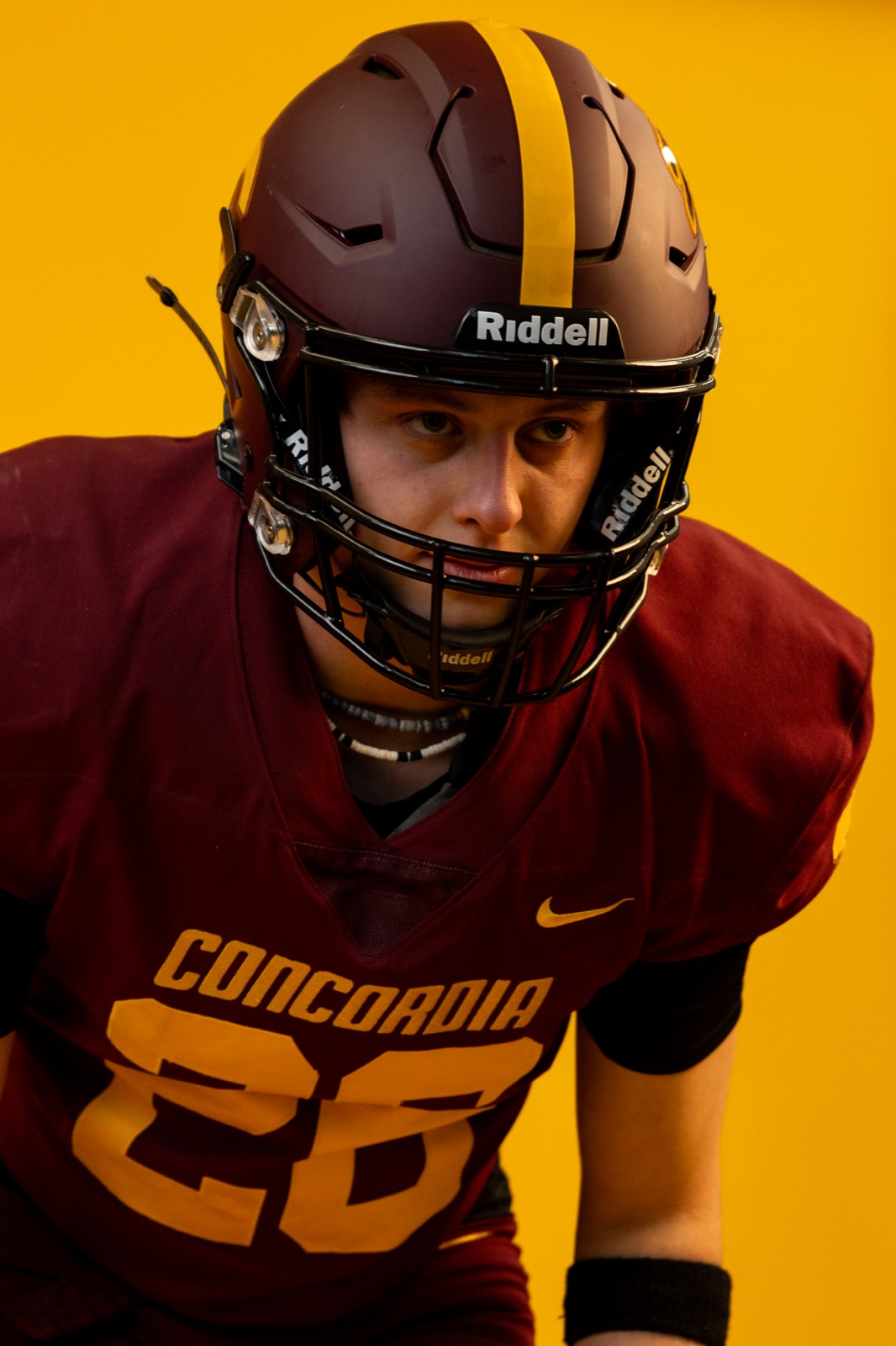 Concordia Stingers athlete portrait with team colors